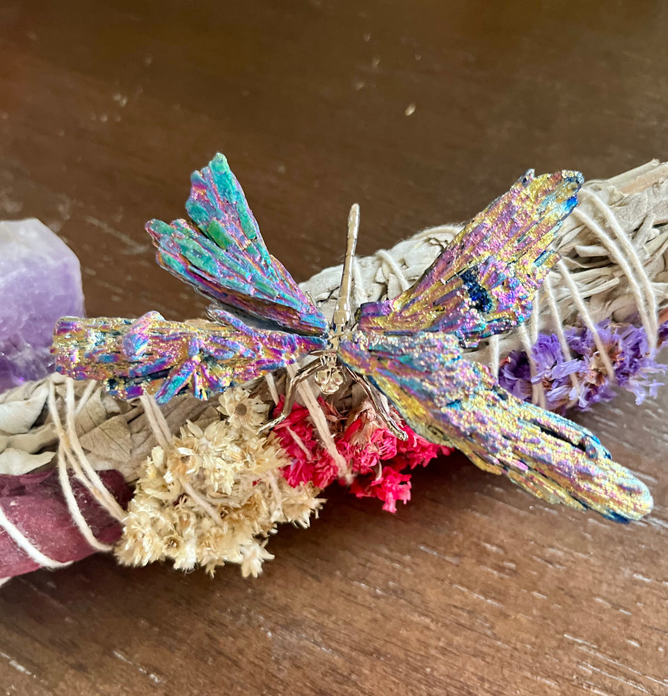
                  
                    Kyanite Dragonfly
                  
                