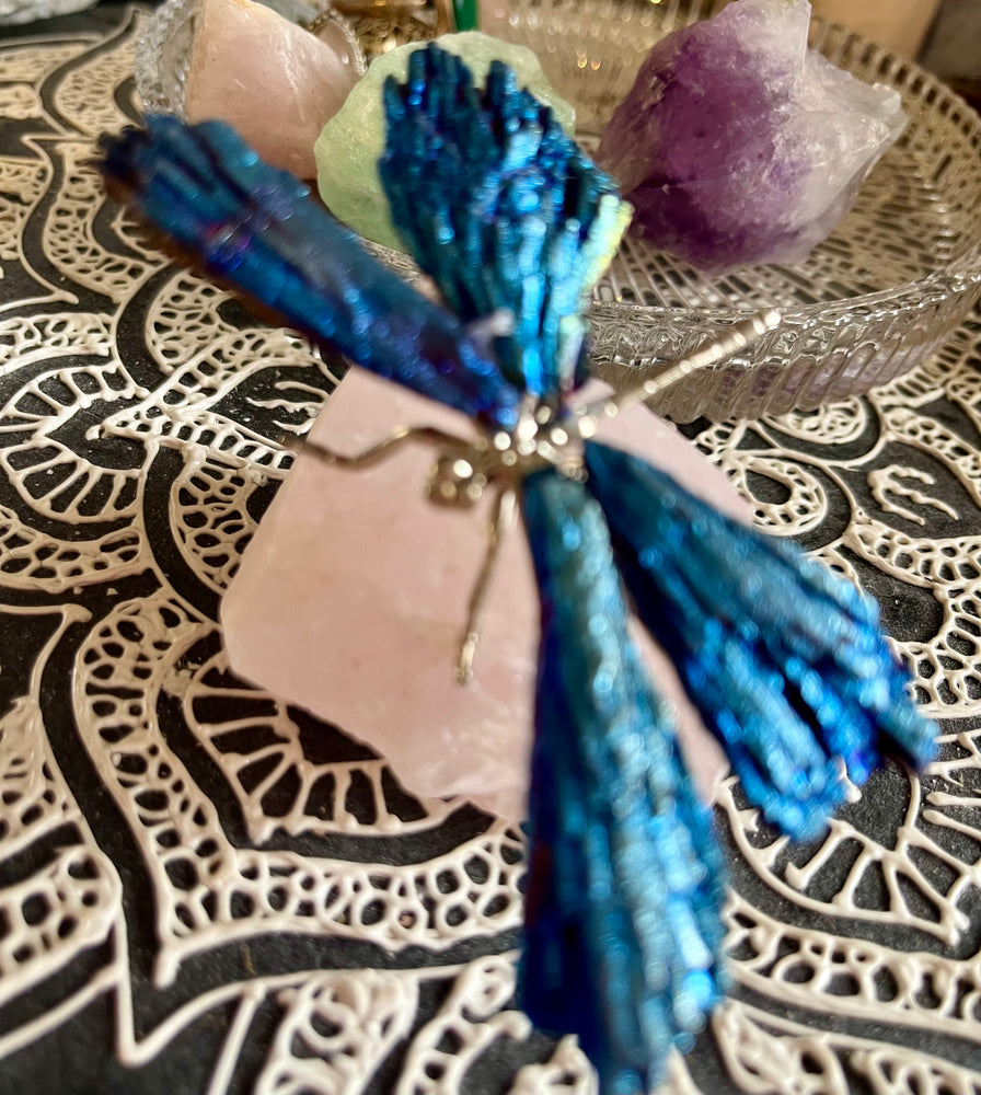 
                  
                    Kyanite Dragonfly
                  
                