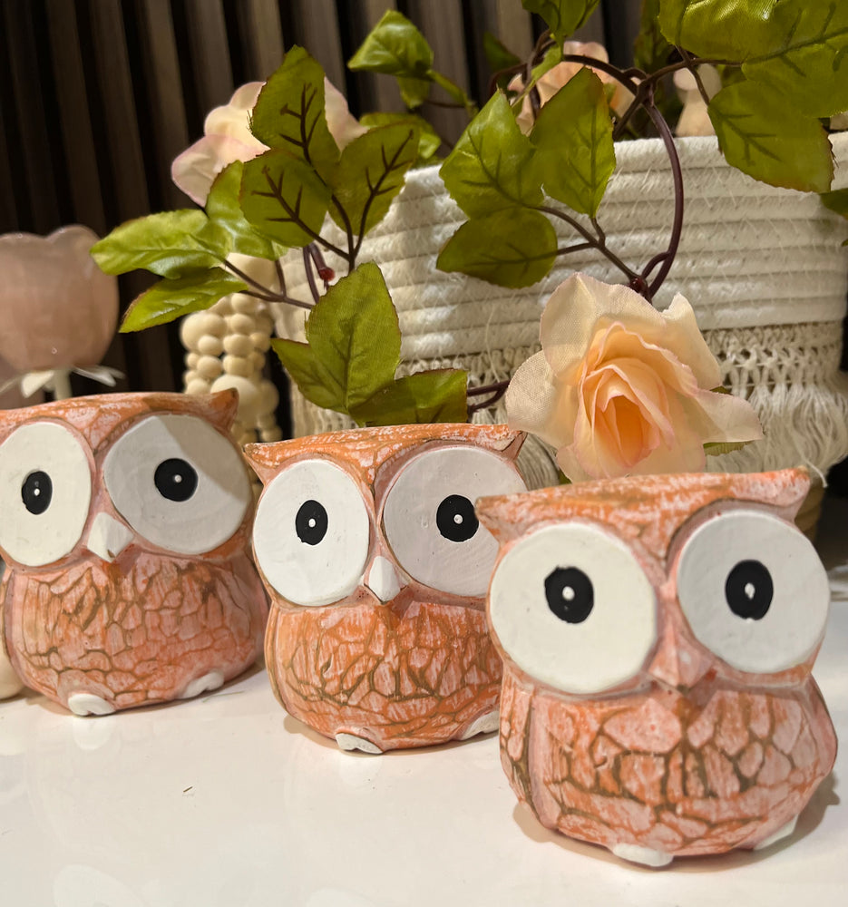 
                  
                    Set of 3 Wooden owls
                  
                