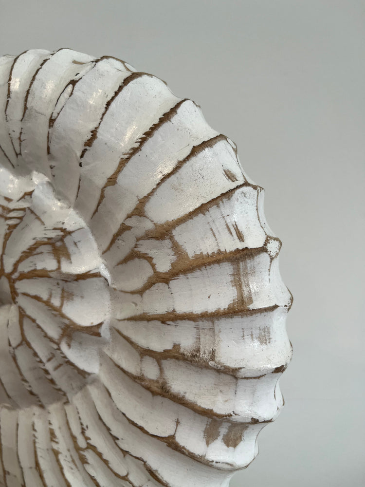 
                  
                    Wooden Decorative Sea Shell
                  
                