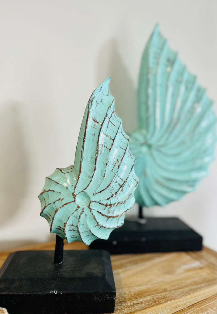 
                  
                    Wooden Sea Shell
                  
                