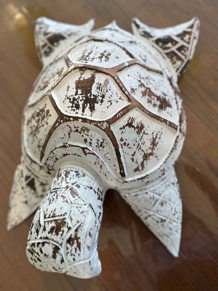 
                  
                    Wooden Carved Turtle
                  
                
